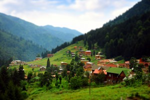 RİZE AYDER