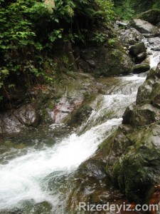 RİZE SİFA